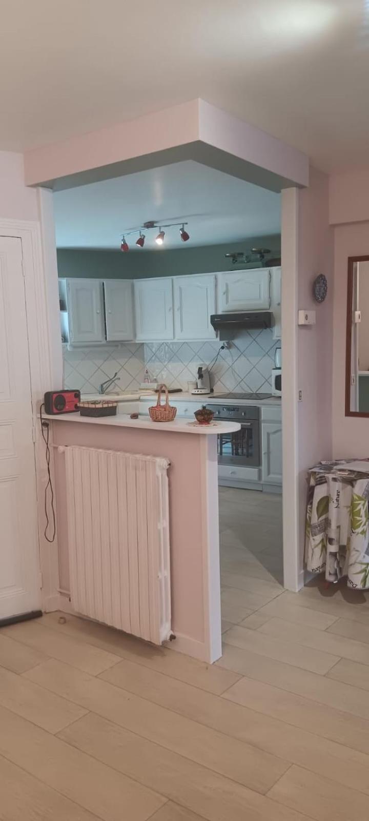 Appartement 120 M² Duplex Coeur Historique Au Calme Le Puy-en-Velay Exteriör bild
