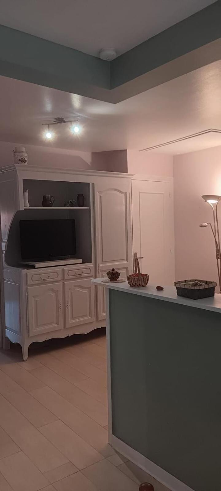 Appartement 120 M² Duplex Coeur Historique Au Calme Le Puy-en-Velay Exteriör bild